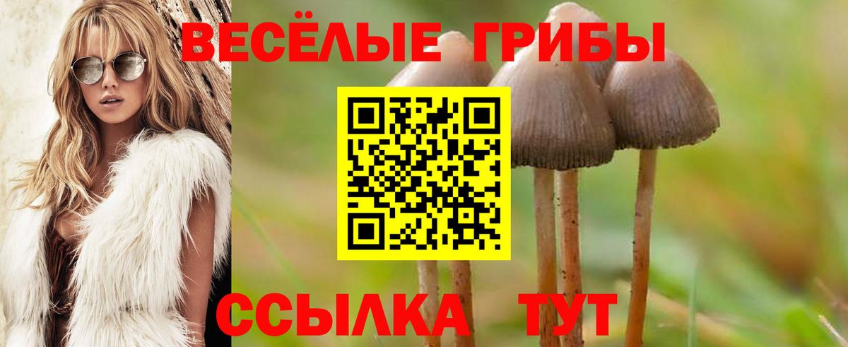 Псилоцибиновые грибы мухоморы  Вход с VPN  Ярцево 